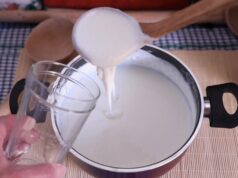 Φτιάχνω ποτό κεφίρ με γαλακτοκομικές οικιακές καλλιέργειες εκκίνησης DVS