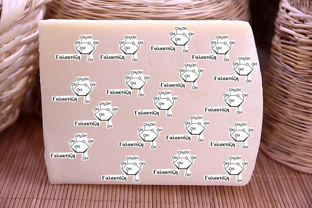Λακτόζη και Γαλακτόζη στα γαλακτοκομικά προϊόντα – Τί θα πρέπει να ξέρω? Μέρος 3ο