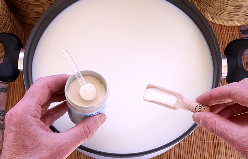 Όλα όσα θα θέλατε να ξέρετε για την πυτιά φυτικής προέλευσης