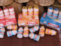 Τί θα πρέπει να ξέρω για το προβιοτικό ζυμωμένο γάλα Yakult ΠΡΩΤΟΣΕΛΙΔΟ - Τί θα πρέπει να ξέρω για το προβιοτικό ζυμωμένο γάλα Yakult