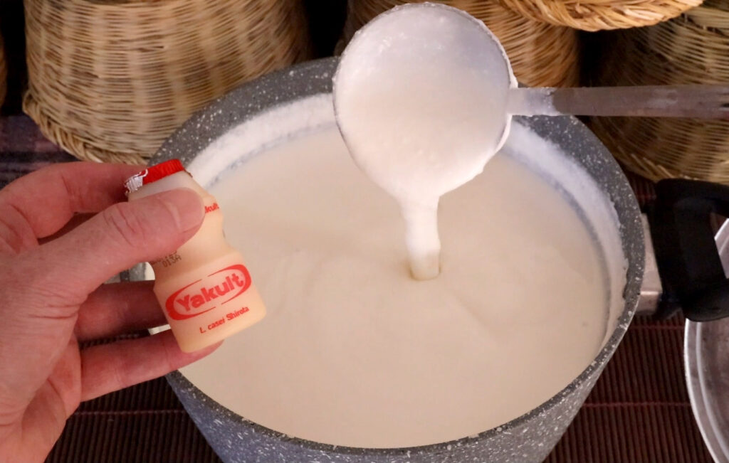 Φτιάχνω το προβιοτικό ζυμωμένο γάλα Yakult χρησιμοποιώντας ως Μαγιά μία μικρή ποσότητα από Yakult του εμπορίου