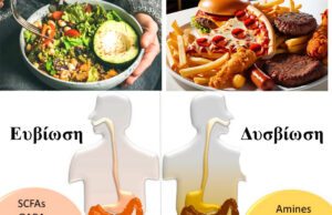 Διατροφή και Εντερικό Μικροβίωμα – Να γιατί θα πρέπει να αλλάξω την διατροφή μου! ΠΡΩΤΟΣΕΛΙΔΟ - Διατροφή και Εντερικό Μικροβίωμα – Να γιατί θα πρέπει να αλλάξω την διατροφή μου!