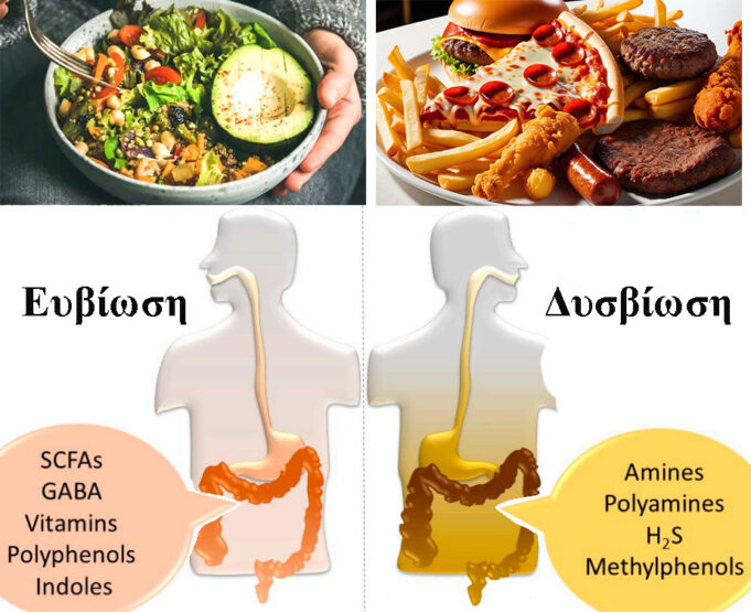 Διατροφή και Εντερικό Μικροβίωμα – Να γιατί θα πρέπει να αλλάξω την διατροφή μου! ΠΡΩΤΟΣΕΛΙΔΟ - Διατροφή και Εντερικό Μικροβίωμα – Να γιατί θα πρέπει να αλλάξω την διατροφή μου!