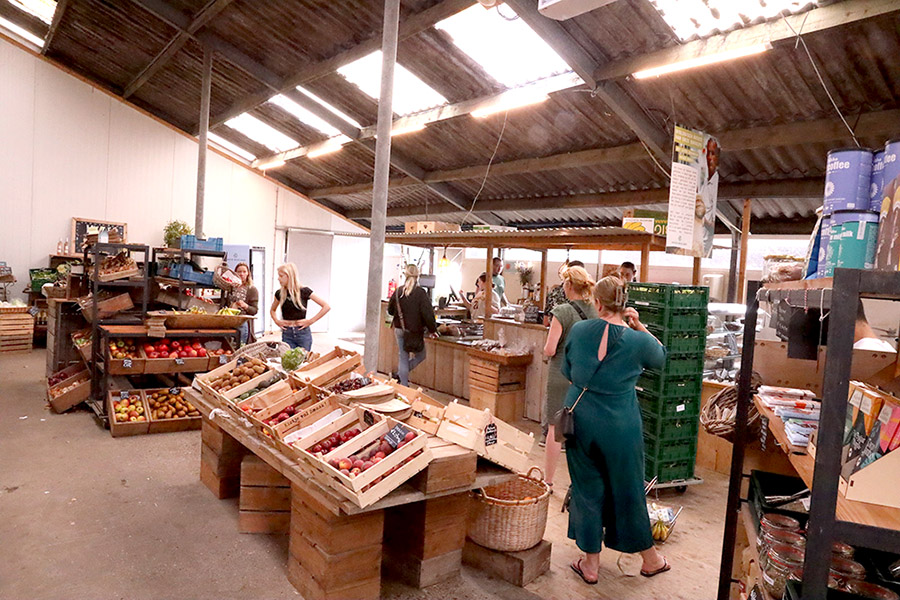 Φάρμα γαλακτοπαραγωγικών ζώων και λειτουργία οικοτεχνικής επιχείρησης παρασκευής γαλακτοκομικών προϊόντων – Το παράδειγμα της Ολλανδίας