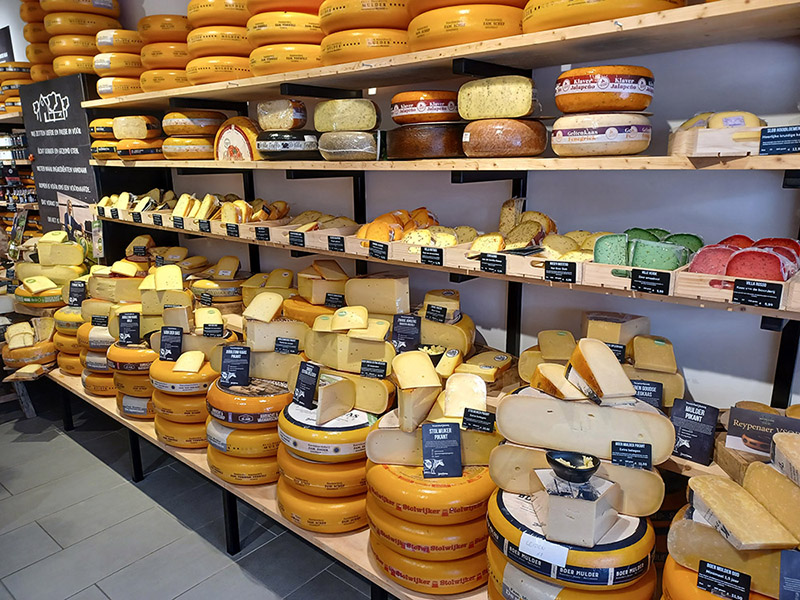 Φάρμα γαλακτοπαραγωγικών ζώων και λειτουργία οικοτεχνικής επιχείρησης παρασκευής γαλακτοκομικών προϊόντων – Το παράδειγμα της Ολλανδίας