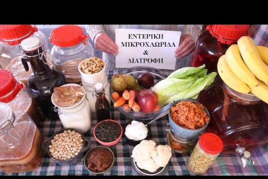 Ποιά είναι η επίδραση της διατροφής στην Εντερική Μικροχλωρίδα? Τί θα πρέπει να ζητήσουμε να μάς πεί ένας διατροφολόγος?