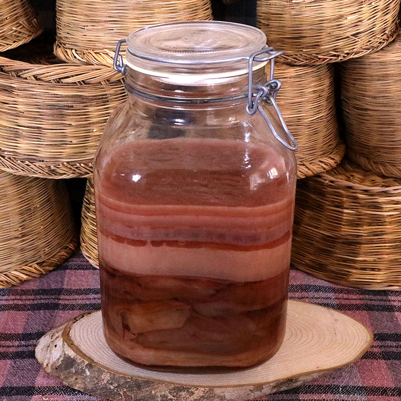 Έτσι δημιουργείται το σκόμπι (SCOBY) στο ποτό Κομπούτσα (Kombucha)