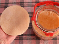 Έτσι δημιουργείται το σκόμπι (SCOBY) στο ποτό Κομπούτσα (Kombucha) ΠΡΩΤΟΣΕΛΙΔΟ - Έτσι δημιουργείται το σκόμπι (SCOBY) στο ποτό Κομπούτσα (Kombucha)