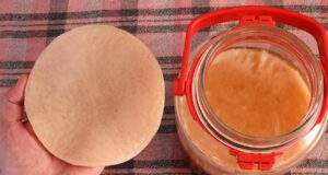 Έτσι δημιουργείται το σκόμπι (SCOBY) στο ποτό Κομπούτσα (Kombucha) ΠΡΩΤΟΣΕΛΙΔΟ - Έτσι δημιουργείται το σκόμπι (SCOBY) στο ποτό Κομπούτσα (Kombucha)