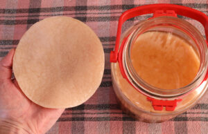 Έτσι δημιουργείται το σκόμπι (SCOBY) στο ποτό Κομπούτσα (Kombucha) ΠΡΩΤΟΣΕΛΙΔΟ - Έτσι δημιουργείται το σκόμπι (SCOBY) στο ποτό Κομπούτσα (Kombucha)