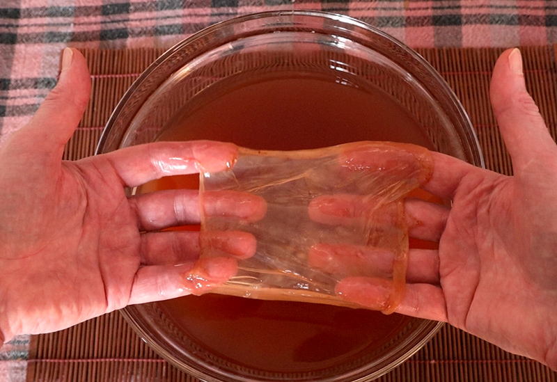 Έτσι δημιουργείται το σκόμπι (SCOBY) στο ποτό Κομπούτσα (Kombucha)
