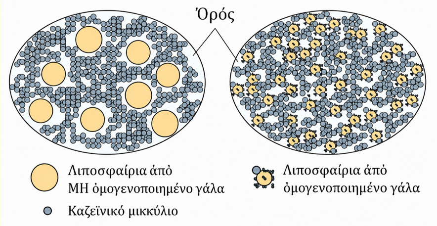 Φτιάχνω γιαούρτι Labneh μὲ τὸν παραδοσιακὸ τρόπο – Αὐτὴ εἶναι ἡ καλύτερη συνταγή γιὰ ἕνα ἐπιτυχημένο Labneh